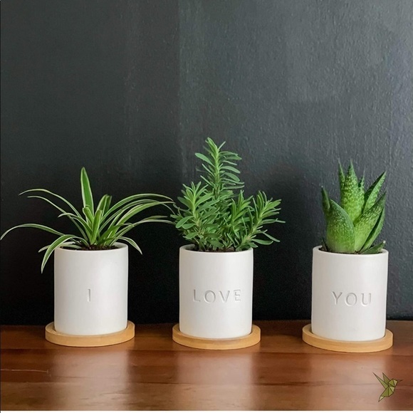 Other - Brand New I Love You Set of 3 Ceramic Planter Pots 3.5” White w/ Bamboo Bases